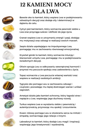 Naszyjnik dla Lwa 12 KAMIENI MOCY