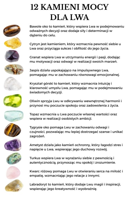 Naszyjnik dla Lwa 12 KAMIENI MOCY