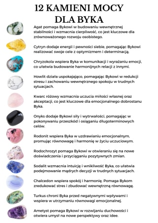 Breloczek dla Byka z 12 Kamieniami Mocy i Czarnym Turmalinem