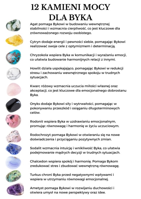 Breloczek dla Byka z 12 Kamieniami Mocy i Czarnym Turmalinem